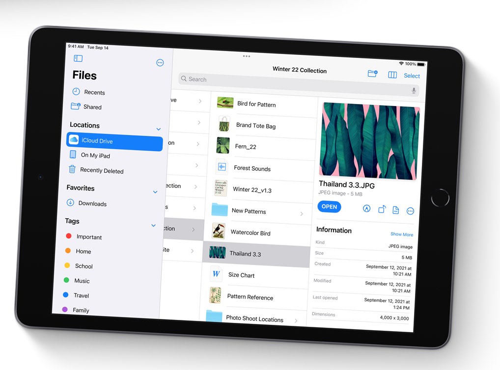Apple_iPad-10-2-storage